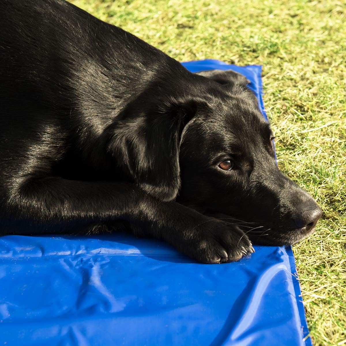 Cooling Mat