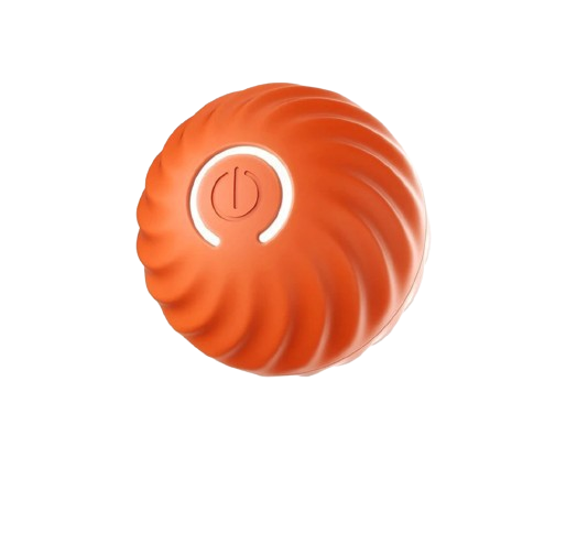 PALLA DINAMICA