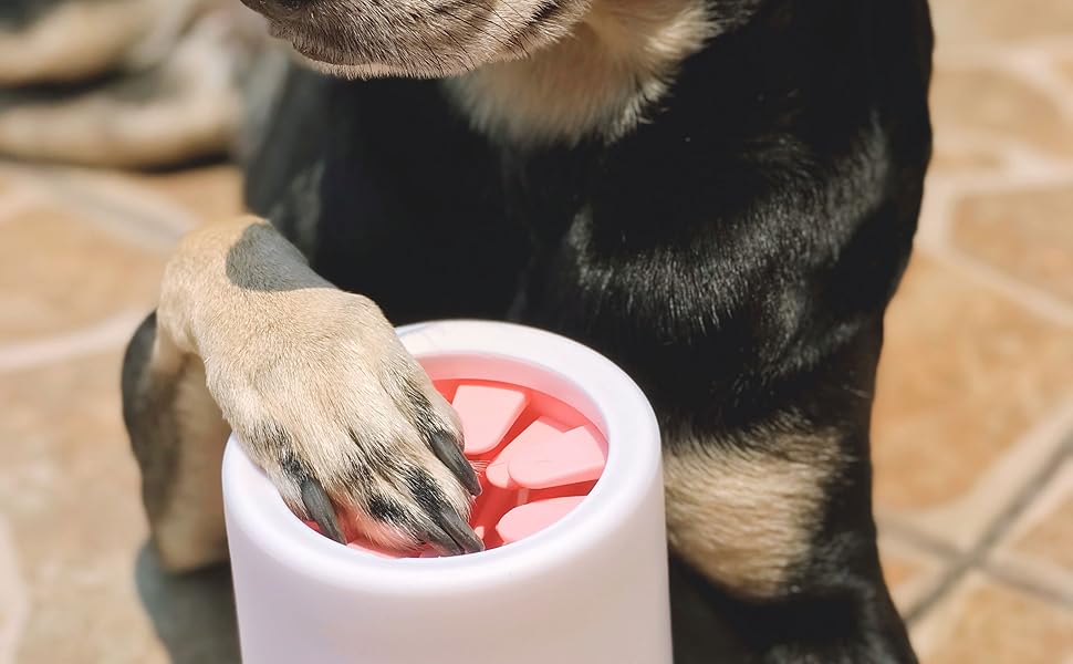 CLEAN PAWS