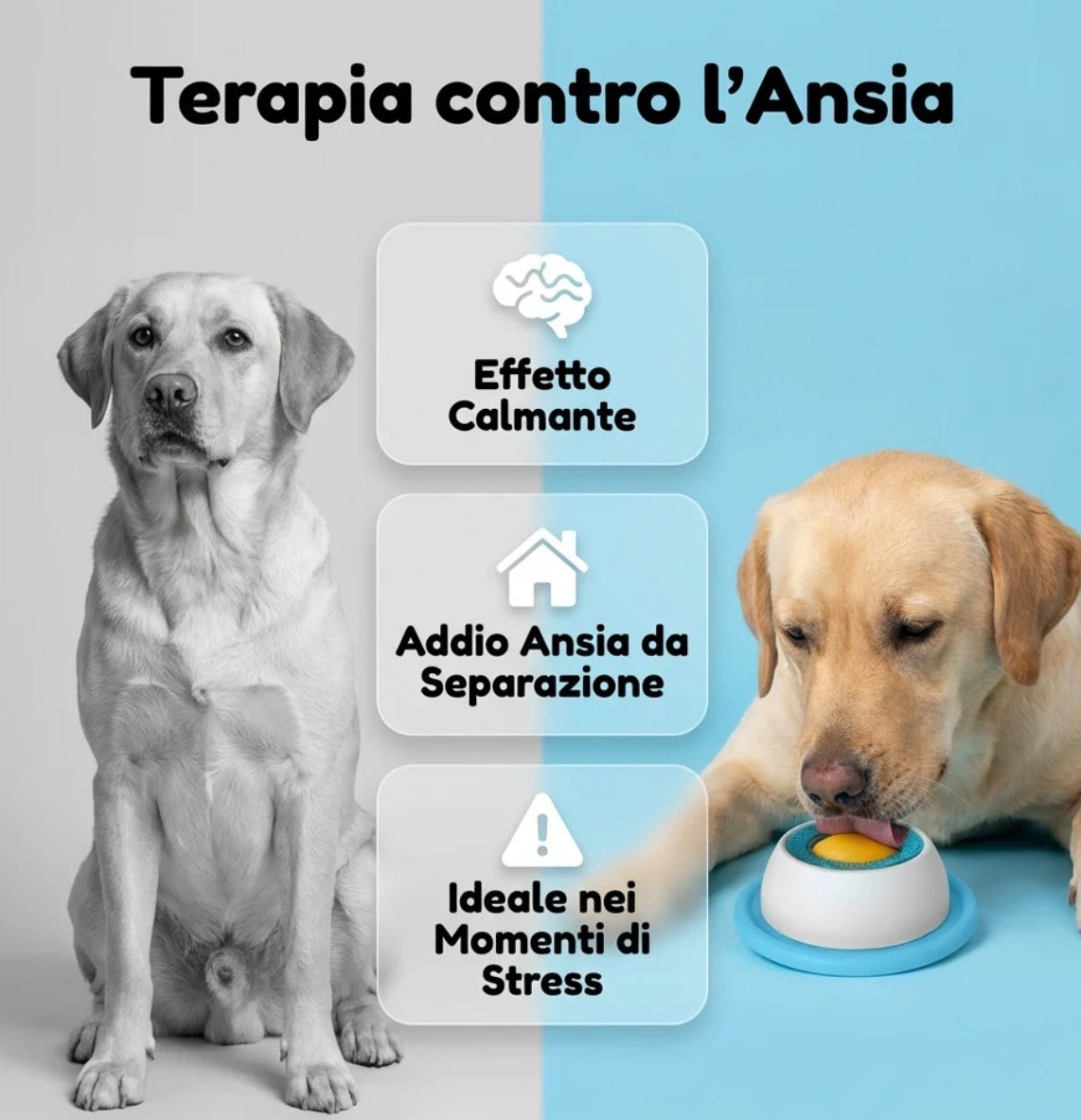 CIOTOLA ANRISTRESS