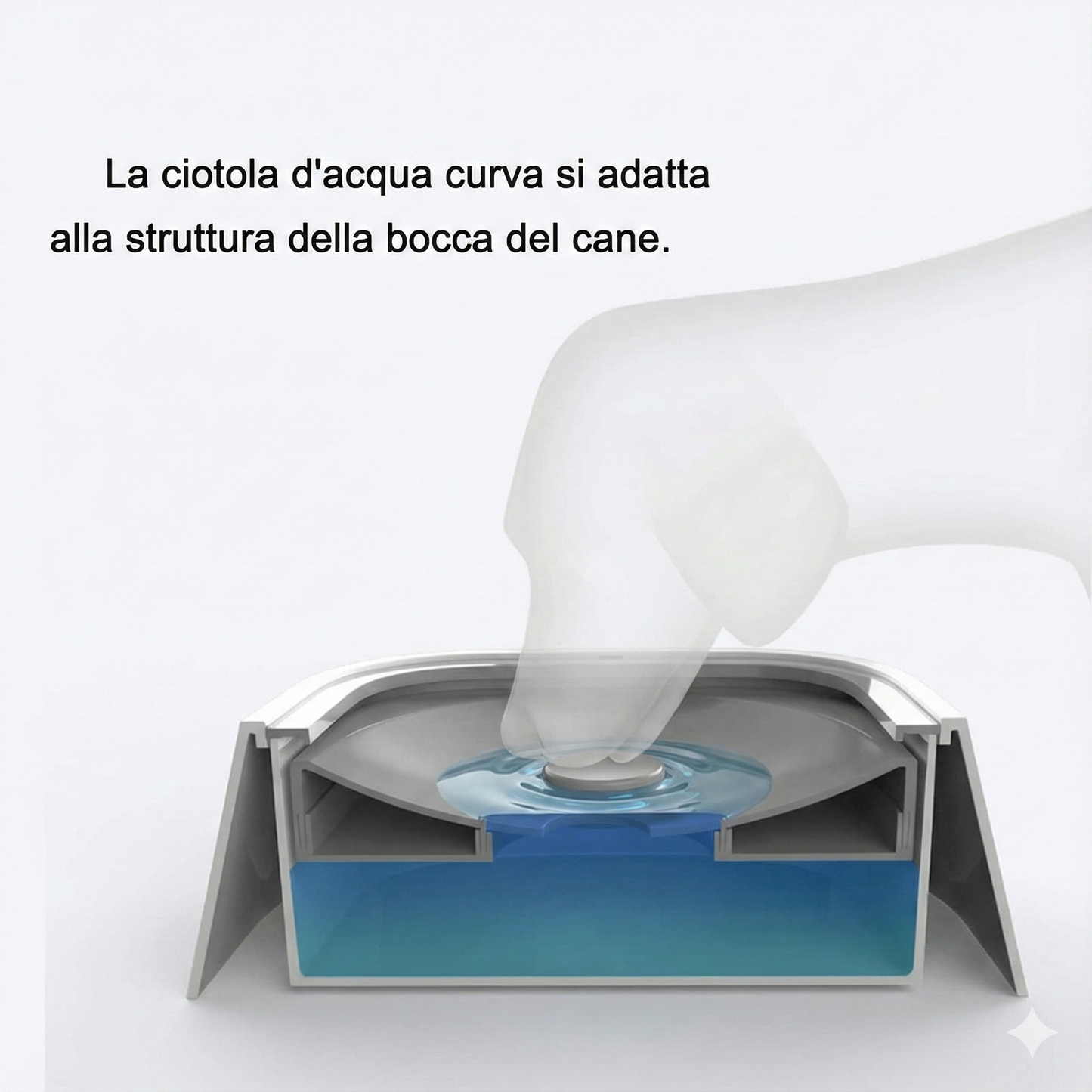 CIOTOLA ANTI-BAGNATO