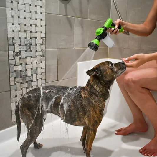 Hundewaschpistole